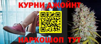 ГАЛЛЮЦИНОГЕННЫЕ ГРИБЫ Гусев