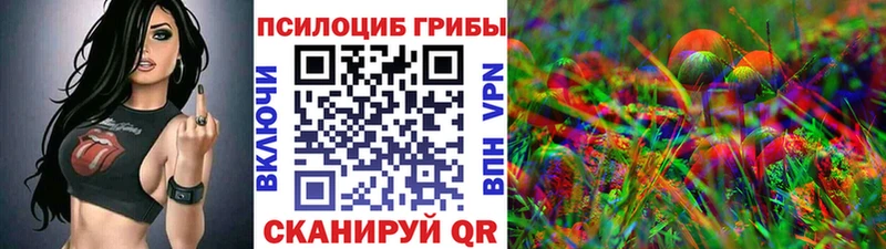 Псилоцибиновые грибы Psilocybe  ОМГ ОМГ зеркало  Лобня  нарко площадка официальный сайт  цена наркотик 