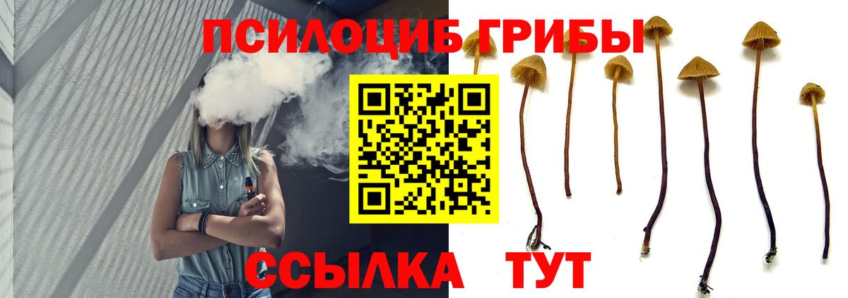 Лобня  Галлюциногенные грибы MAGIC MUSHROOMS  Вход с VPN  Псилоцибиновые грибы мицелий 